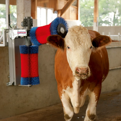 Perie de curățat vaci HappyCow DUO