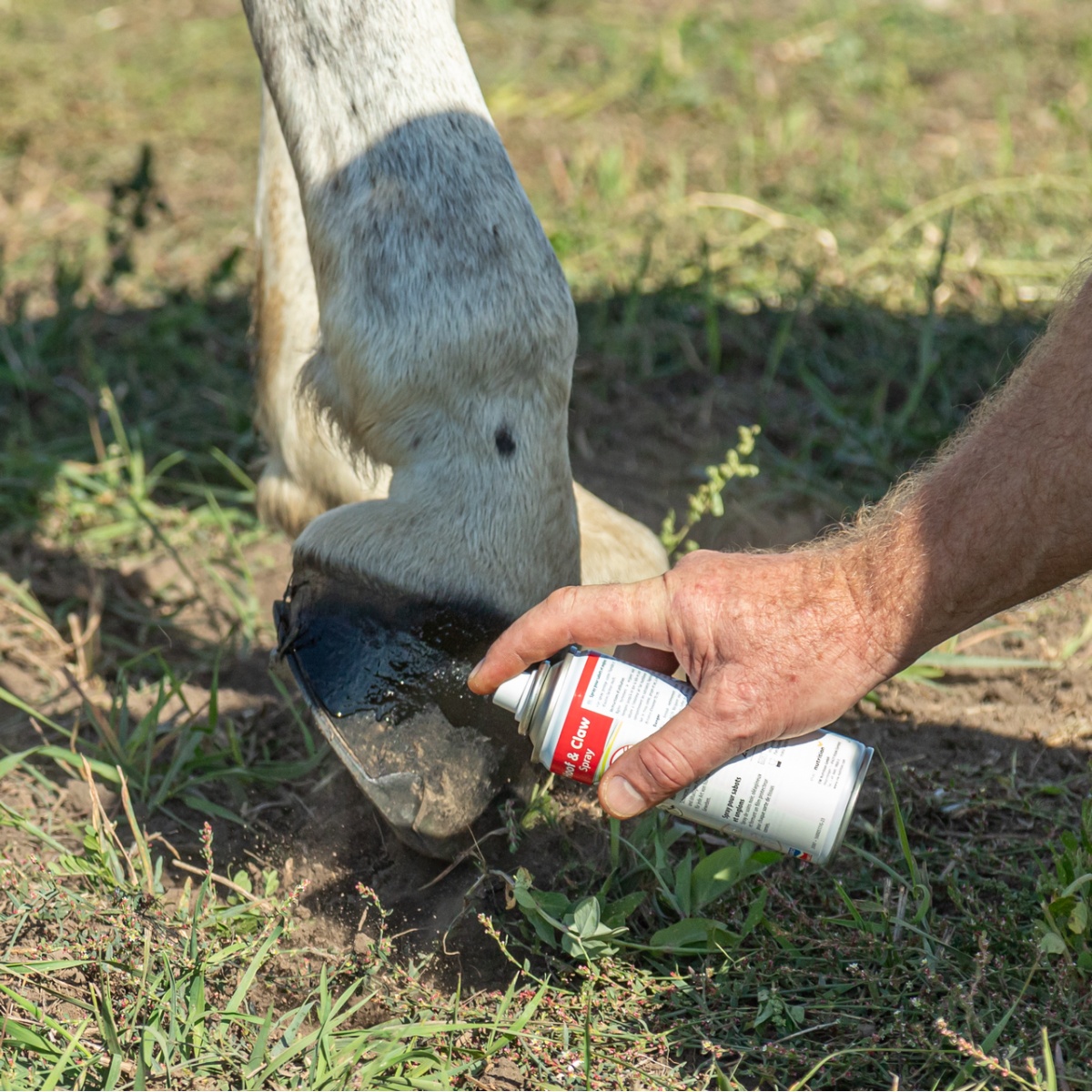 Spray Hoof and Claw, pentru îngrijirea copitelor, ghearelor și altor țesuturi cornoase, 200 ml